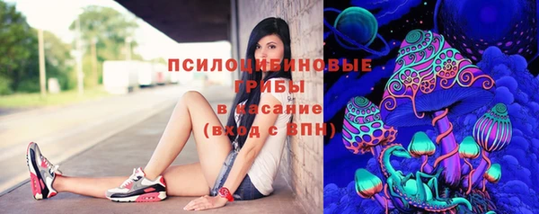 эйфоретик Карталы